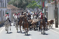 Chamusca: “Da Páscoa à Ascensão 40 Dias Vão”
