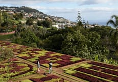 Madeira: Marcelo vai ouvir partidos e Conselho de Estado no início de janeiro