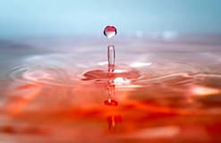 Climáximo pinta de vermelho água da fonte do edifício da Caixa Geral de Depósitos