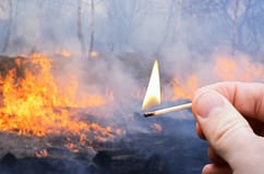 Incêndios: Mais de um terço dos fogos deste ano tiveram como origem incendiarismo