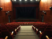 Encenadora Vedrana Klepicae cria peça de teatro sobre incêndios florestais em Santarém