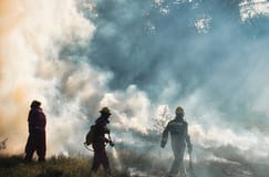 Bombeiros conseguiram controlar incêndio à volta de Atenas