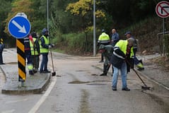 Mau tempo em Figueiró dos Vinhos leva a pedido urgente de mão-de-obra e geradores