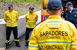 Incêndios: Governo da República ofereceu apoio para combate ao fogo na Madeira