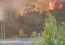 Incêndios: Quase 150 operacionais combatem fogo em Ourém