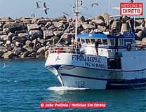 Portugal pratica pesca de fundo em zonas vulneráveis proibidas