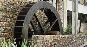 Figueira da Foz: Câmara vai converter complexo molinológico em centro interpretativo