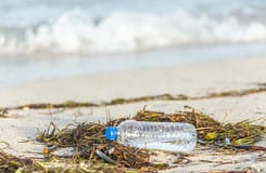 Novo plástico reciclável e degradável no oceano pode ajudar a acabar com microplásticos