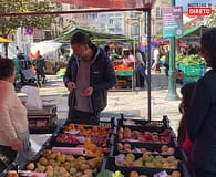 Promessas Infinitas: As Expectativas dos Portugueses nas Eleições de 2024