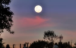 Robô com que Japão volta a tentar estrear-se na superfície da Lua entrou hoje em órbita