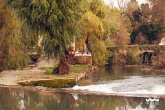 Orçamento de Torres Novas cresce para 46,2 milhões de euros m 2024