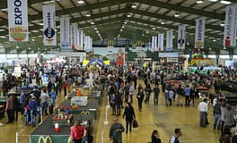 Construções com milhões de peças Lego em exposição nas Caldas da Rainha