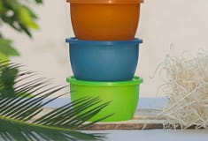 Fábrica da Tupperware fecha em Constância e deixa 200 trabalhadores no desemprego