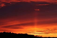 Sete distritos portugueses em alerta vermelho devido ao calor
