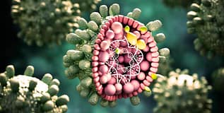 África representa 63% das novas infeções de hepatite B no mundo