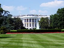 Casa Branca nega ordem para deportar crianças do sistema de acolhimento familiar