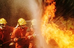 Incêndios: Ministra diz que haverá relatório para saber se houve falhas no combate