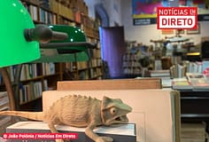 Rio de Janeiro inicia agenda da Capital Mundial do Livro em Lisboa