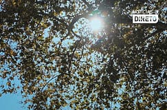 Casa florestal das Mestras passa para gestão da Câmara das Caldas da Rainha