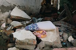 Sismo: OMS classifica crise em Myanmar como emergência máxima e pede fundos