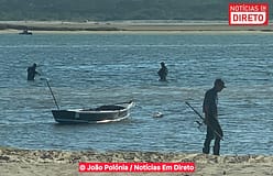 Bispo de Setúbal alerta para condições de trabalho dos mariscadores do Tejo