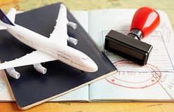 Coordenadora do Bloco de Esquerda considera que atual lei aumenta “imigração clandestina”