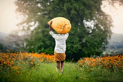 Vistos para trabalhar suspensos: Portugal cancela agendamentos de procura de emprego