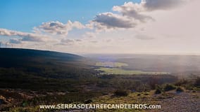 Bióloga portuguesa descobre nova espécie de bicho-de-conta em parque natural