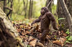 Arqueólogas portuguesas cozinham para compreenderem melhor dieta de Neandertais