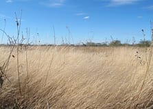 Seca: Governo aprova 26,6 ME para aumentar disponibilidade de água no Algarve