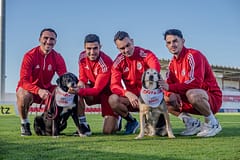 CROAS e União Desportiva de Santarém unem-se para promover a adoção responsável de animais
