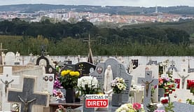 Especialistas pedem análise às causas de morte indicadas nos certificados de óbito