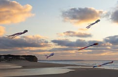 Praia da Foz do Arelho volta a receber o Festival Ibérico de Papagaios Gigantes