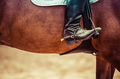 Parques de Sintra honrada com classificação da Arte Equestre Portuguesa pela UNESCO