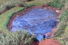Suinicultura multada por descarga ilegal em Alcobaça