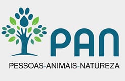 Eleições: PAN lamenta que PR receba partidos antes de concluído o apuramento eleitoral