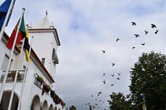 Alcanena aprova orçamento de 36,1 ME para 2024, “o maior de sempre”