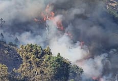 Incêndio em Nisa força evacuação parcial de aldeia