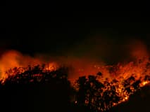 Incêndios: Agosto é já o mês com mais área ardida em 2024 e duplicou face a julho