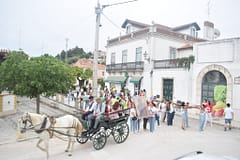 JMJ: Símbolos da Jornada entregues ao Patriarcado de Lisboa na sexta-feira