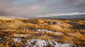 Incêndios: APA realiza intervenção de emergência para travar arrastamento de terras para o rio Vouga