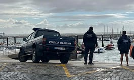 Orcas danificam veleiro ao largo de Peniche