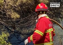 Heróis sem descanso: deputados recusam desgaste rápido para bombeiros