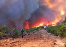 Incêndios/Madeira: Fogo mantém três frentes ativas e160 pessoas permanecem fora de casa