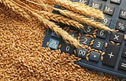 China visa exportações agrícolas dos EUA em resposta a taxas de Trump