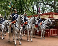 13.º Oeste Lusitano cancelado após tempestades: Caldas da Rainha perde grande evento equestre