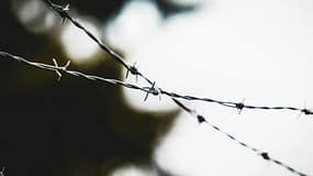 Autoridades alemãs anunciam que detiveram três menores que planeavam ataque terrorista