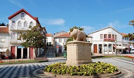 Ex-autarca de Murça condenado a três anos e seis meses de pena suspensa