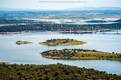 Beja: Estado aprova aumento do capital social da EDIA em 41ME e empréstimos de quase 23ME