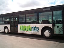 Lezíria do Tejo lança passe gratuito para jovens estudantes dos 4 aos 23 anos